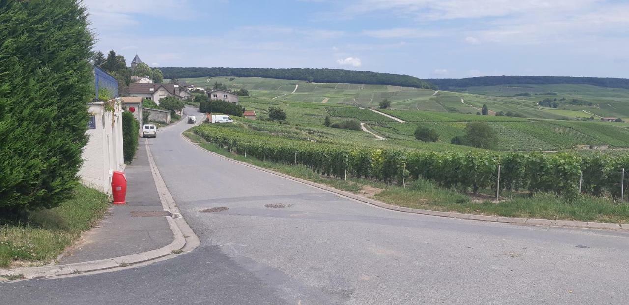 Flor'Ever En Champagne Fleury-la-Riviere Esterno foto