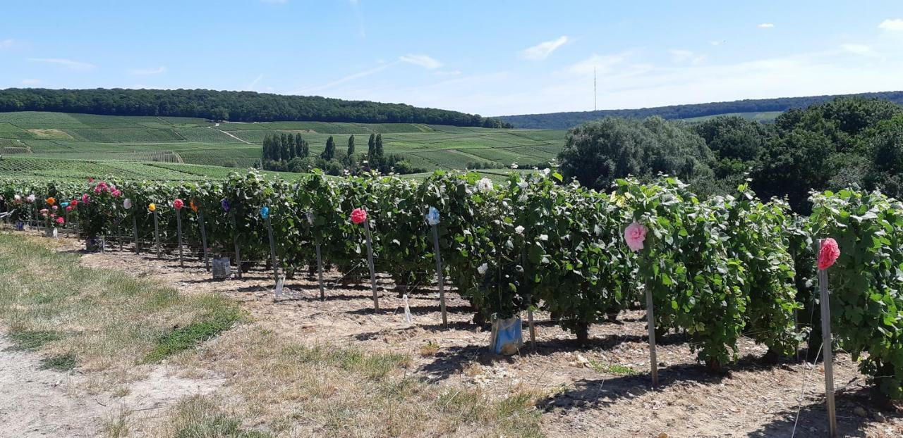 Flor'Ever En Champagne Fleury-la-Riviere Esterno foto